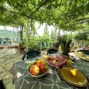 Boungainvillea Albania