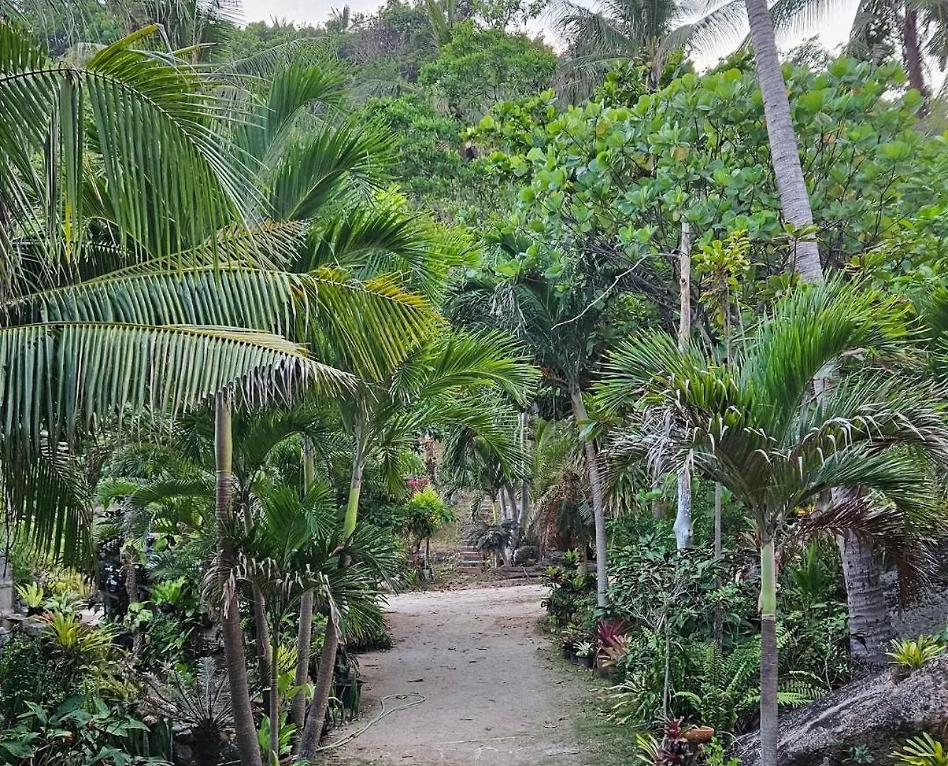 Mountain Reef Beach Resort Koh Tao